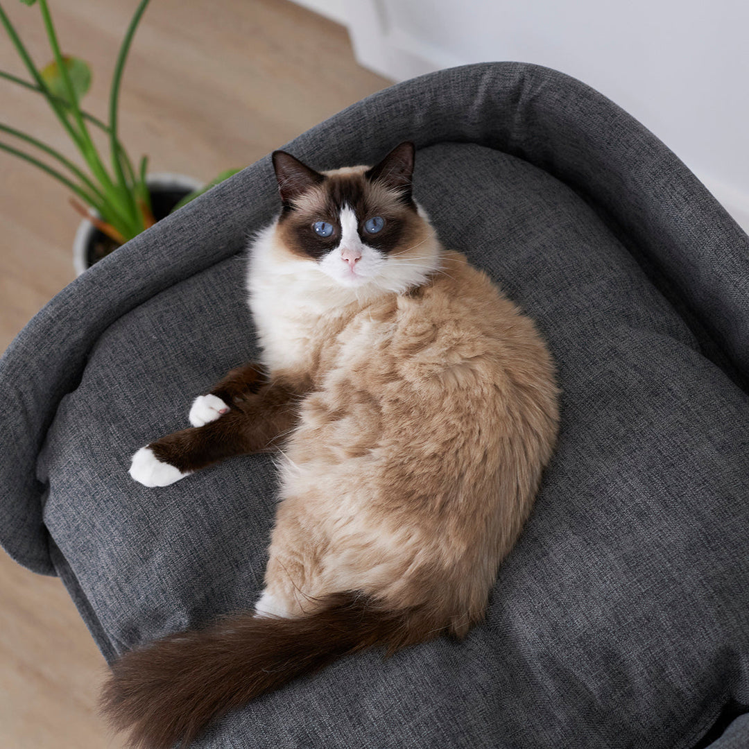 High Bed Sofa Cat Scratch Post - Grey